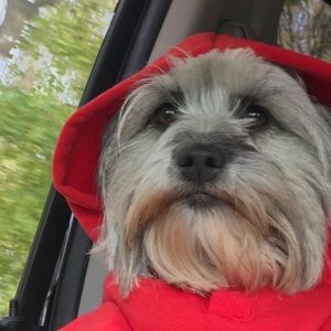 Meet your Posher, Heather